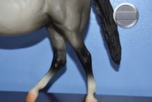 Load image into Gallery viewer, Grey Stock Horse Mare-Stock Horse Mare Mold-Breyer Traditional