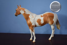 Load image into Gallery viewer, Playin&#39; Smart-Matte-Sheila Bishop-OOAK-FCM Ideal Stock Horse-Peter Stone