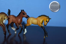 Load image into Gallery viewer, Lot of 5 Stablemate Foals-Breyer Stablemate