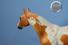 Load image into Gallery viewer, Playin&#39; Smart-Matte-Sheila Bishop-OOAK-FCM Ideal Stock Horse-Peter Stone