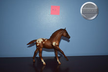 Load image into Gallery viewer, Appaloosa Foal #2-Action Stock Horse Foal Mold-Breyer Traditional