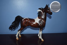 Load image into Gallery viewer, Livingston-American Saddlebred Stallion Mold-Breyer Traditional