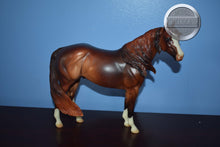 Load image into Gallery viewer, Rum Runner-LE of 30-Ideal Stock Horse-Peter Stone
