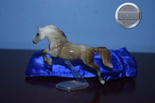 Load image into Gallery viewer, Sylvester-Stablemate Club Exclusive-Warmblood Jumper Mold-Breyer Stablemate