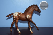 Load image into Gallery viewer, Appaloosa Foal #2-Action Stock Horse Foal Mold-Breyer Traditional