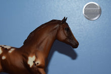 Load image into Gallery viewer, Appaloosa Foal #2-Action Stock Horse Foal Mold-Breyer Traditional