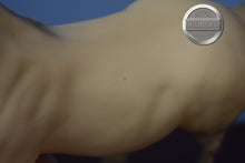 Load image into Gallery viewer, Alabaster Proud Arabian Mare-Proud Arabian Mare Mold-Breyer Traditional