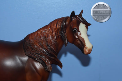 Rum Runner-LE of 30-Ideal Stock Horse-Peter Stone