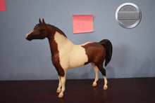 Load image into Gallery viewer, Karma Gypsy #2-Proud Arabian Stallion Mold-Breyer Traditional