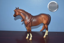 Load image into Gallery viewer, Rum Runner-LE of 30-Ideal Stock Horse-Peter Stone