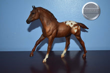 Load image into Gallery viewer, Appaloosa Foal #2-Action Stock Horse Foal Mold-Breyer Traditional