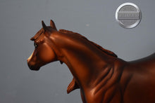 Load image into Gallery viewer, Rum Runner-LE of 30-Ideal Stock Horse-Peter Stone