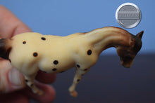 Load image into Gallery viewer, Appaloosa G1 Arabian Mare-Breyer Stablemate
