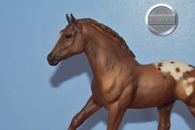 Load image into Gallery viewer, Appaloosa Foal #2-Action Stock Horse Foal Mold-Breyer Traditional