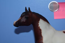 Load image into Gallery viewer, Karma Gypsy #2-Proud Arabian Stallion Mold-Breyer Traditional