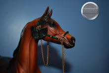 Load image into Gallery viewer, Arabian Presentation Halter-HORSE NOT INCLUDED-Accessories