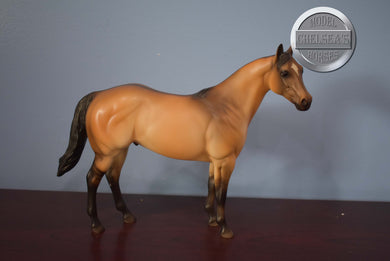 Earl-State Line Tack Exclusive-Ideal Stock Horse-Peter Stone