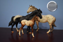 Load image into Gallery viewer, Appaloosa Mustang Gift Set-Breyer Classic