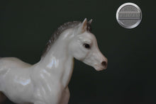 Load image into Gallery viewer, Alabaster Family Arabian Foal-Breyer Traditional