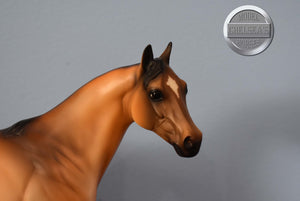 Earl-State Line Tack Exclusive-Ideal Stock Horse-Peter Stone