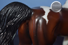 Load image into Gallery viewer, Livingston-American Saddlebred Stallion Mold-Breyer Traditional