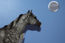 Load image into Gallery viewer, Kirk The Night Light-Vintage Club Exclusive-Geronimo Mold-Breyer Traditional
