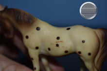 Load image into Gallery viewer, Appaloosa G1 Arabian Mare-Breyer Stablemate