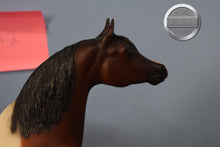 Load image into Gallery viewer, Karma Gypsy #2-Proud Arabian Stallion Mold-Breyer Traditional