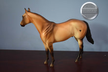 Load image into Gallery viewer, Earl-State Line Tack Exclusive-Ideal Stock Horse-Peter Stone