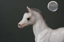 Load image into Gallery viewer, Alabaster Family Arabian Foal-Breyer Traditional
