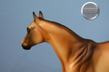 Load image into Gallery viewer, Earl-State Line Tack Exclusive-Ideal Stock Horse-Peter Stone