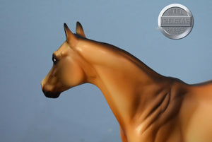 Earl-State Line Tack Exclusive-Ideal Stock Horse-Peter Stone