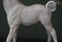 Load image into Gallery viewer, Alabaster Family Arabian Foal-Breyer Traditional