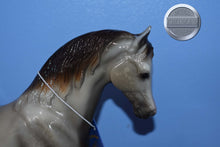 Load image into Gallery viewer, Pippen-Family Arabian Stallion Mold-Breyer Traditional