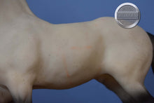 Load image into Gallery viewer, Jack Frost-Holiday Exclusive-Friesian Mold-Breyer Traditional
