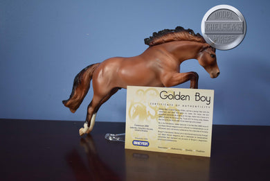 Golden Boy-with COA-Connoisseur Exclusive-Newsworthy Mold-Breyer Traditional