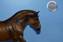 Load image into Gallery viewer, Mamacita-MARE ONLY-Breyerfest Exclusive-Warmblood Mare Mold-Breyer Traditional