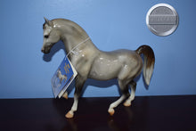 Load image into Gallery viewer, Pippen-Family Arabian Stallion Mold-Breyer Traditional