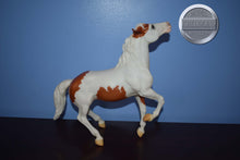 Load image into Gallery viewer, San Domingo-Margaurite Henry's Famous Mustang-Semi Rearing Mustang Mold-Breyer Traditional