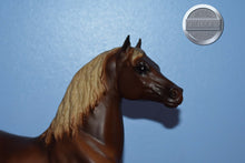 Load image into Gallery viewer, Vermont-Stretch Morgan Mold-Breyer Traditional