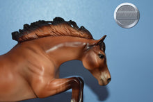 Load image into Gallery viewer, Golden Boy-with COA-Connoisseur Exclusive-Newsworthy Mold-Breyer Traditional