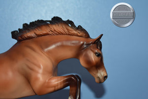 Golden Boy-with COA-Connoisseur Exclusive-Newsworthy Mold-Breyer Traditional