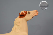 Load image into Gallery viewer, San Domingo-Margaurite Henry's Famous Mustang-Semi Rearing Mustang Mold-Breyer Traditional