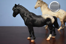 Load image into Gallery viewer, Appaloosa Mustang Gift Set-Breyer Classic
