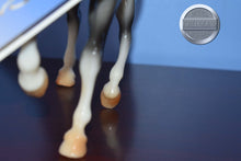 Load image into Gallery viewer, Pippen-Family Arabian Stallion Mold-Breyer Traditional