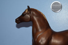 Load image into Gallery viewer, Vermont-Stretch Morgan Mold-Breyer Traditional