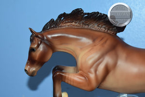 Golden Boy-with COA-Connoisseur Exclusive-Newsworthy Mold-Breyer Traditional