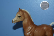 Load image into Gallery viewer, Body-Family Arabian Foal Mold-Breyer Traditional