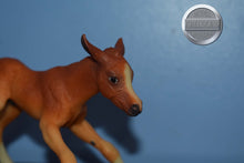 Load image into Gallery viewer, Lefire-Arabian Foal-Lefire Mold-Breyer Traditional