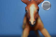 Load image into Gallery viewer, Lefire-Arabian Foal-Lefire Mold-Breyer Traditional